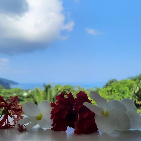 Cella Villa Anse a La Mouche Εξωτερικό φωτογραφία