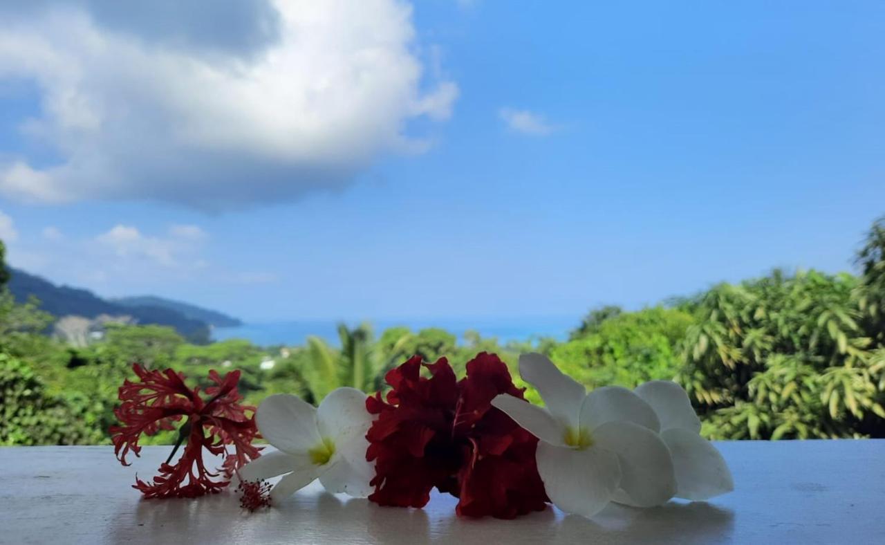 Cella Villa Anse a La Mouche Εξωτερικό φωτογραφία
